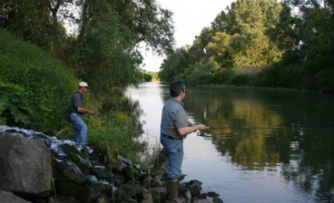 Angeln am StockstadtErfelder Altrhein Besucher Information